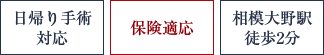 日帰り手術保険適応 対応相模大野駅 徒歩2分